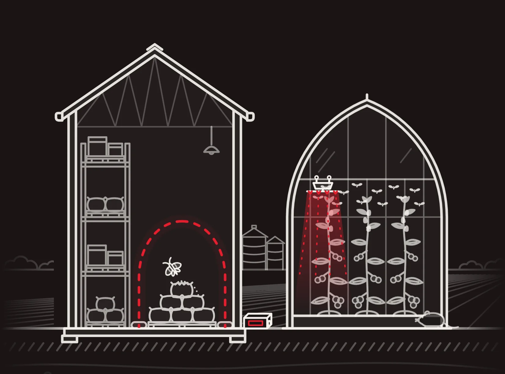 White line illustration of a storage barn with shelves and stacked sacks next to a domed greenhouse of tall plants, with dashed red outlines around the stored goods and one plant row.