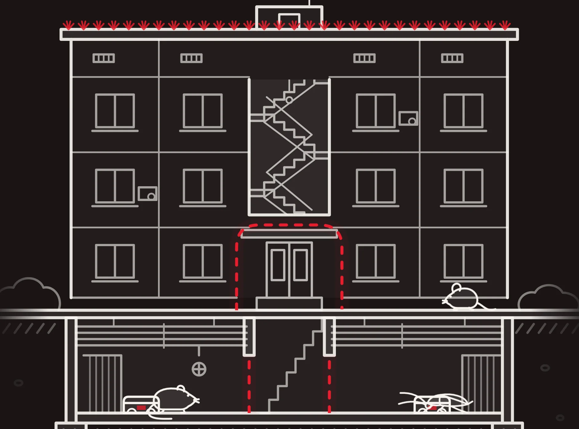 White line illustration of a four-storey apartment block in cross-section with a stairwell, red dashes along the roofline, a dashed red outline around the entrance and cellar, and a mouse and a cockroach in the basement.